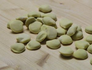 cappelletti